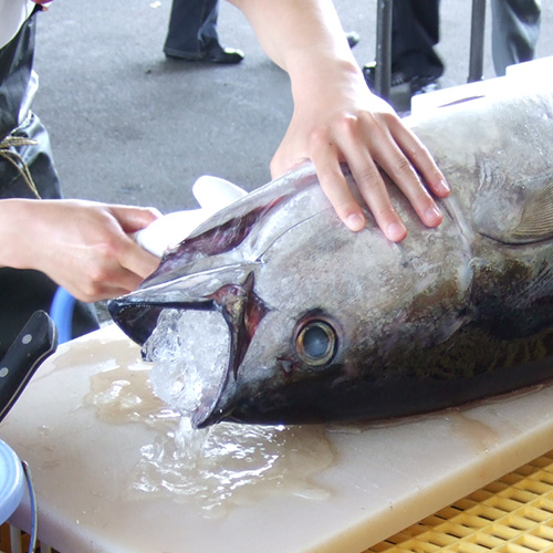 青森の魚、丸わかり！本州最北青森県を味わう会