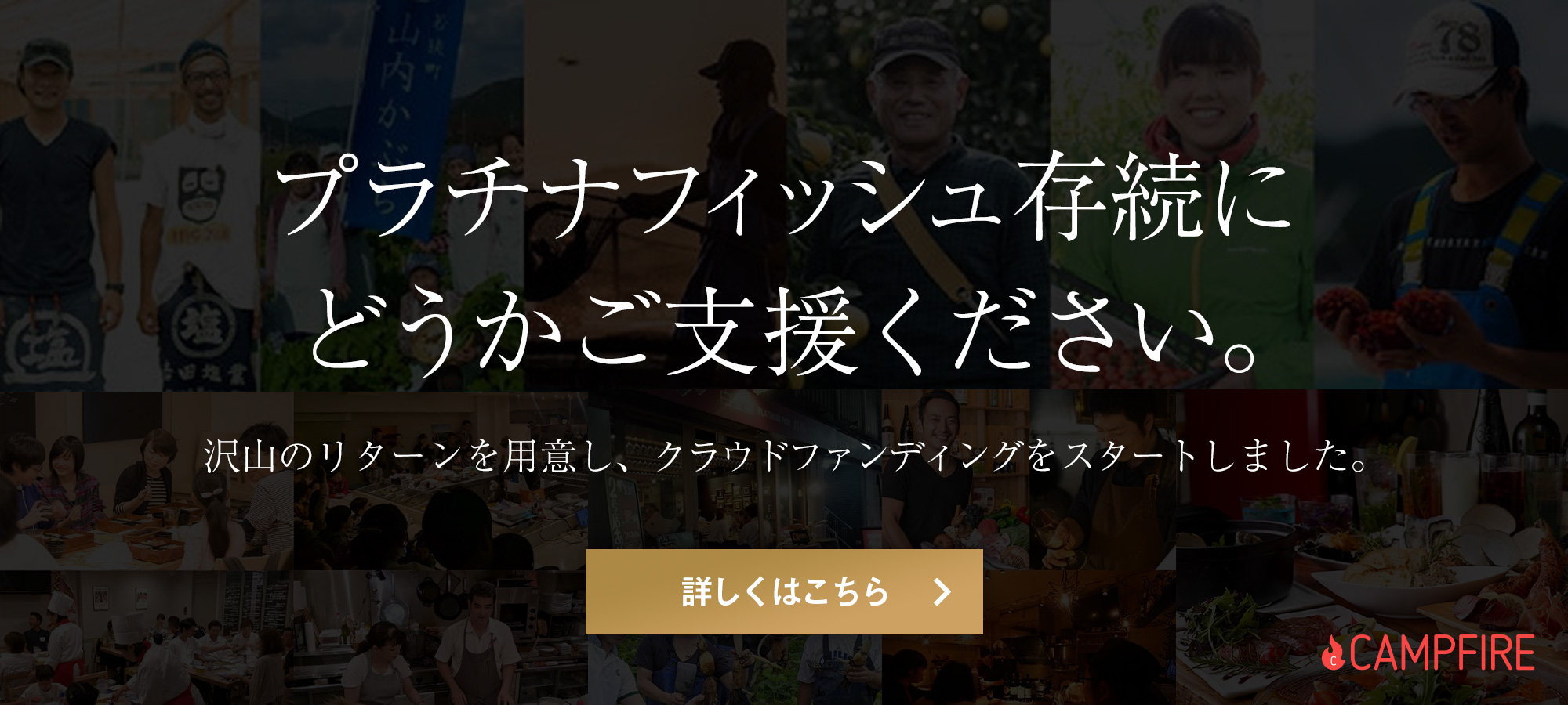 プラチナフィッシュ クラウドファンディング